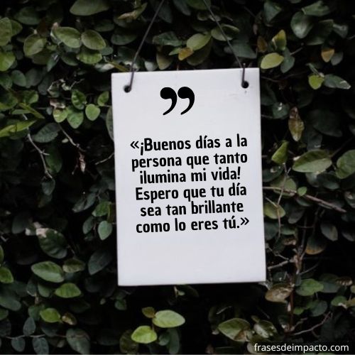 Frases buenos días para alguien especial