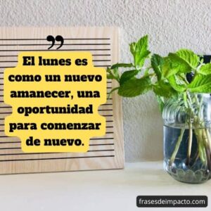100 Frases de lunes para empezar la semana con positividad