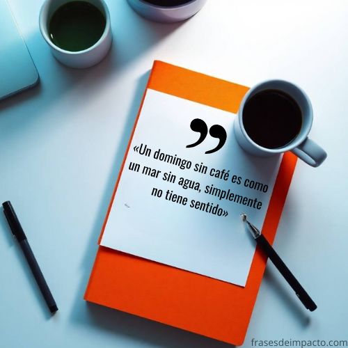 frases de domingo chistosas