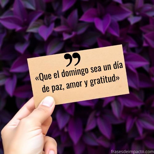 frases de domingo feliz