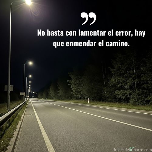 Frases de Equivocarse y Rectificar